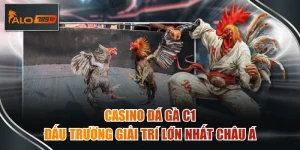 casino đá gà c1
