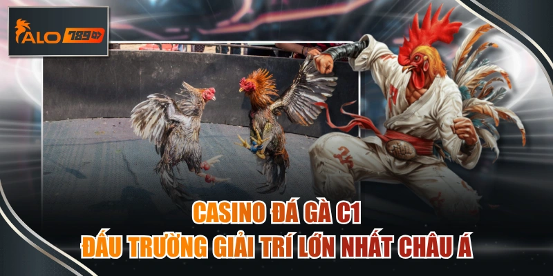 casino đá gà c1