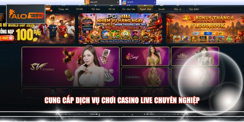 Cung cấp dịch vụ chơi casino live chuyên nghiệp