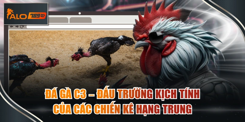 đá gà c3