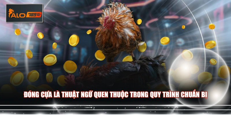 Đóng cựa là thuật ngữ quen thuộc trong quy trình chuẩn bị