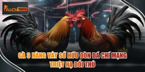 gà 3 hàng vảy