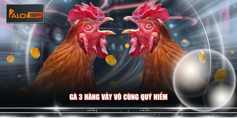 Gà 3 hàng vảy vô cùng quý hiếm