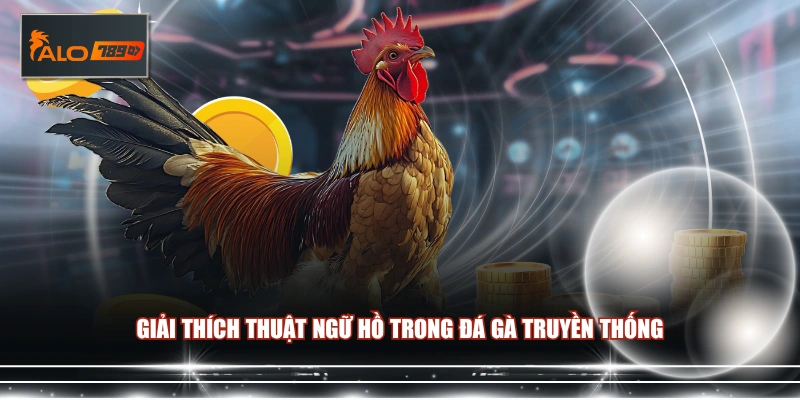 Giải thích thuật ngữ hồ trong đá gà truyền thống