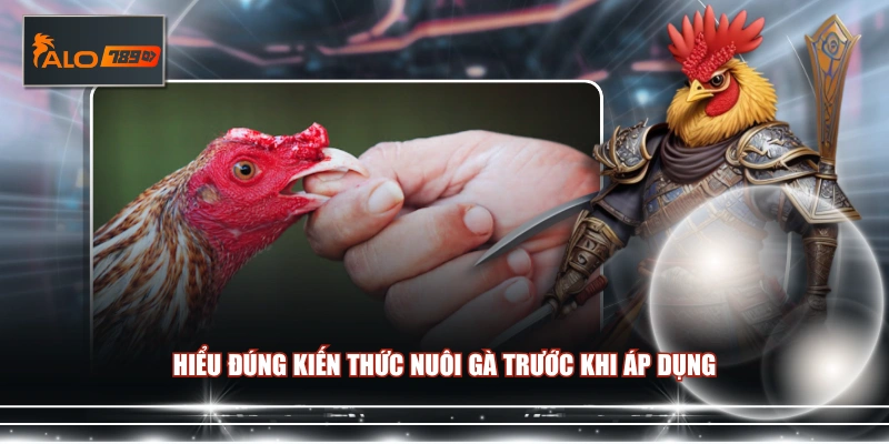Hiểu đúng kiến thức nuôi gà trước khi áp dụng 