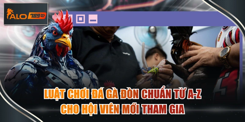 đá gà đòn