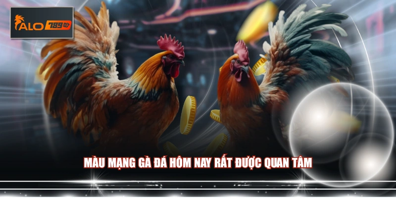Màu mạng gà đá hôm nay rất được quan tâm