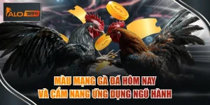 màu mạng gà đá hôm nay