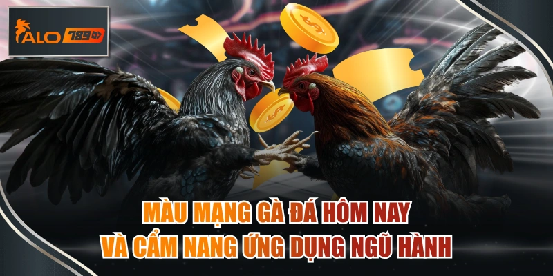 màu mạng gà đá hôm nay