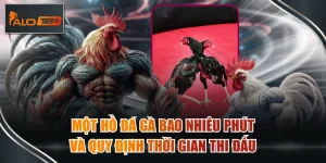 một hồ đá gà bao nhiêu phút