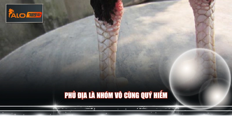 Phủ Địa là nhóm vô cùng quý hiếm