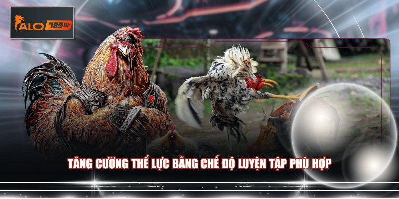 Tăng cường thể lực bằng chế độ luyện tập phù hợp