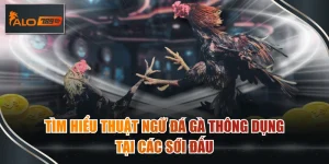 thuật ngữ đá gà