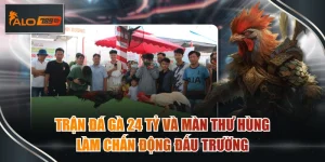 trận đá gà 24 tỷ