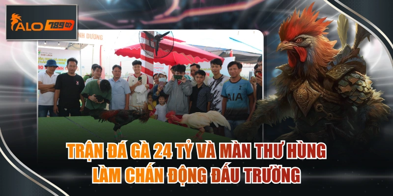 trận đá gà 24 tỷ