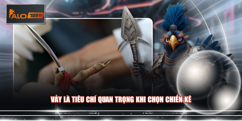 Vảy là tiêu chí quan trọng khi chọn chiến kê