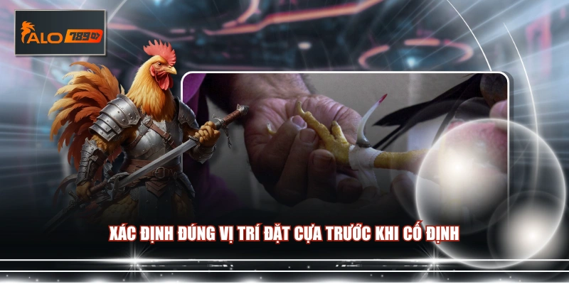 Xác định đúng vị trí đặt cựa trước khi cố định 